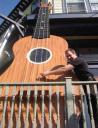 giant uke ukulele ukelele of nova scotia