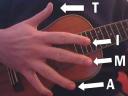 right hand fingering ukulele tab