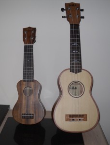 Kala Pocket Ukulele Review